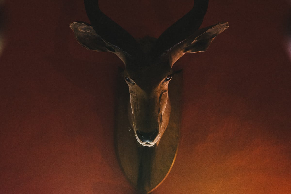 elmore court weddings 0004