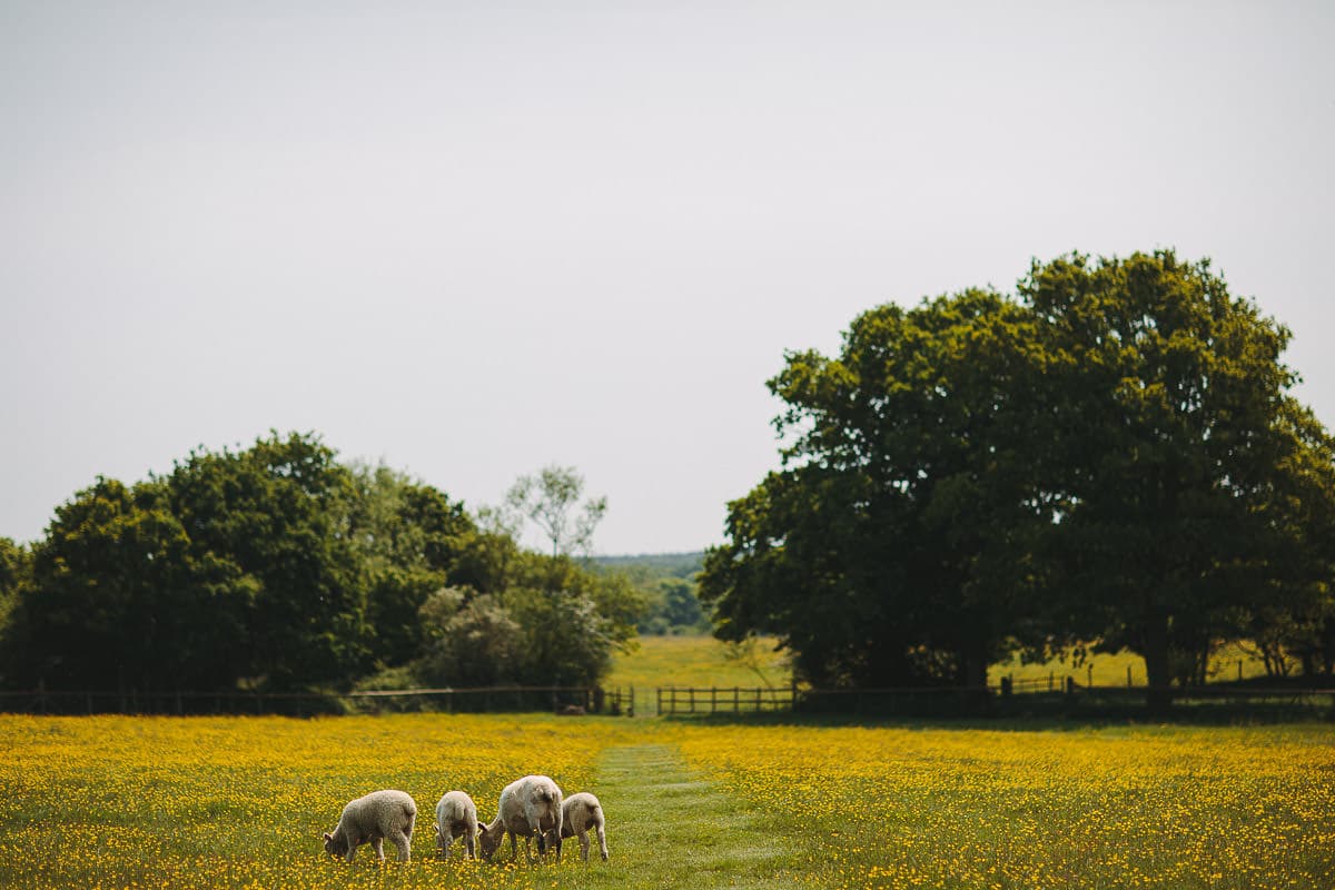 green farm weddings kent 0034
