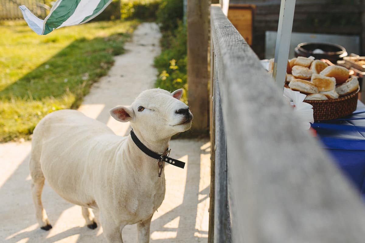 green farm weddings kent 0082