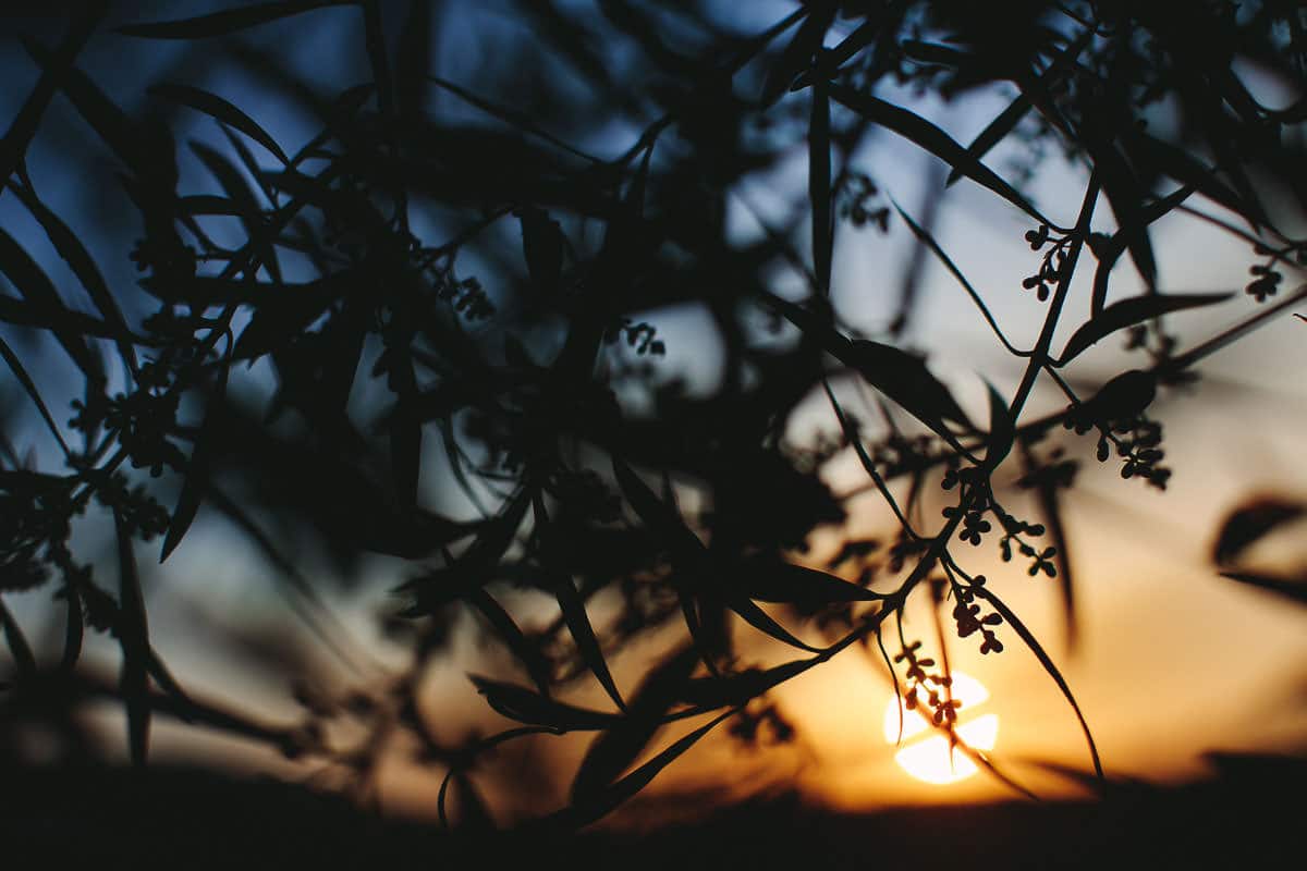 wedding photographer andalucia 1