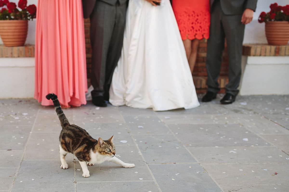 wedding photographer andalucia 74