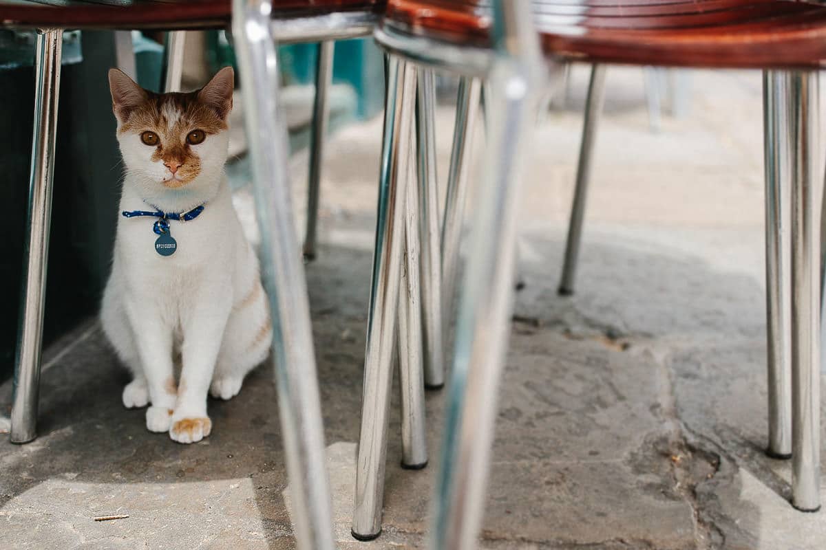 wedding photographers london 3