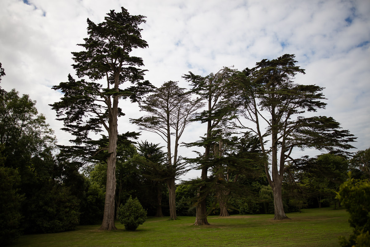James and Rebecca's DIY wedding in Dorset 8 diy wedding photographer 2