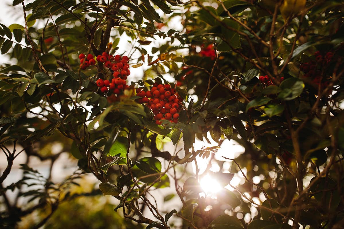 wedding photographer hampton court 1
