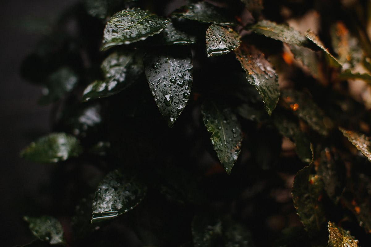 london wedding photographers 2