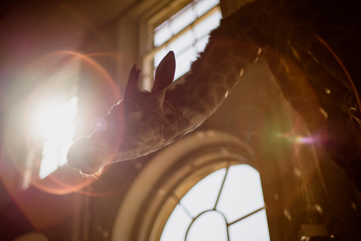 Charley and Jack's Aynhoe Park Wedding 15 009 aynhoe park wedding photographer