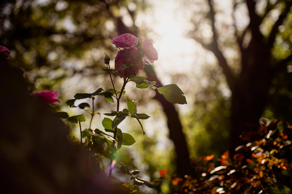 002 bingham hotel london