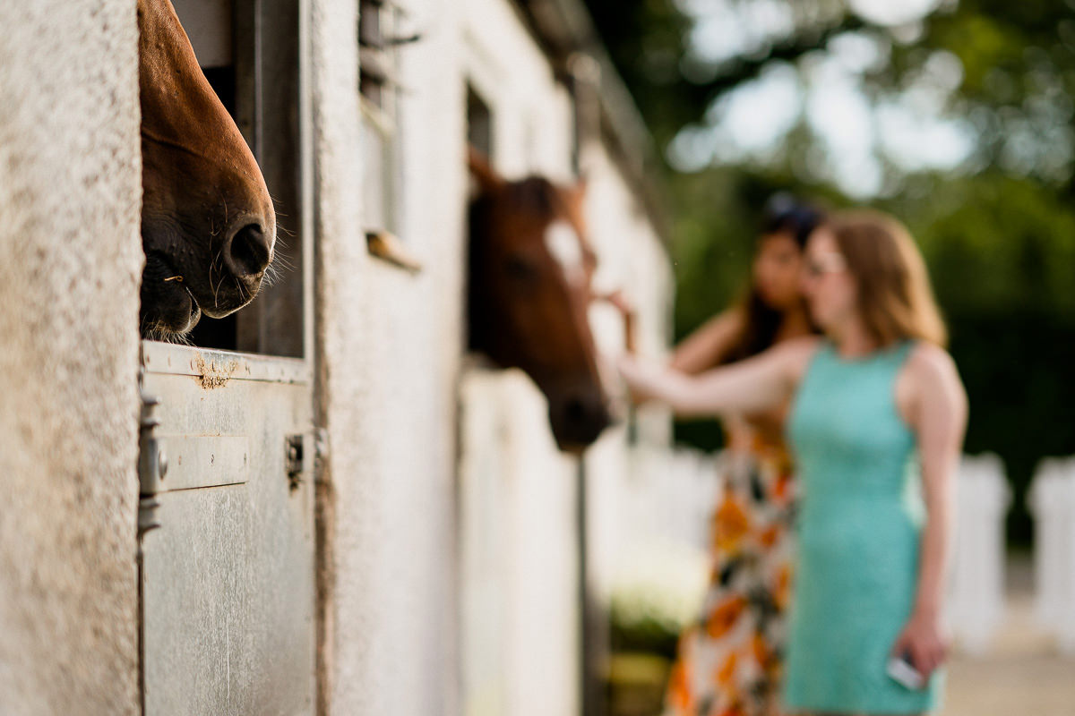 Holford estate weddings 8