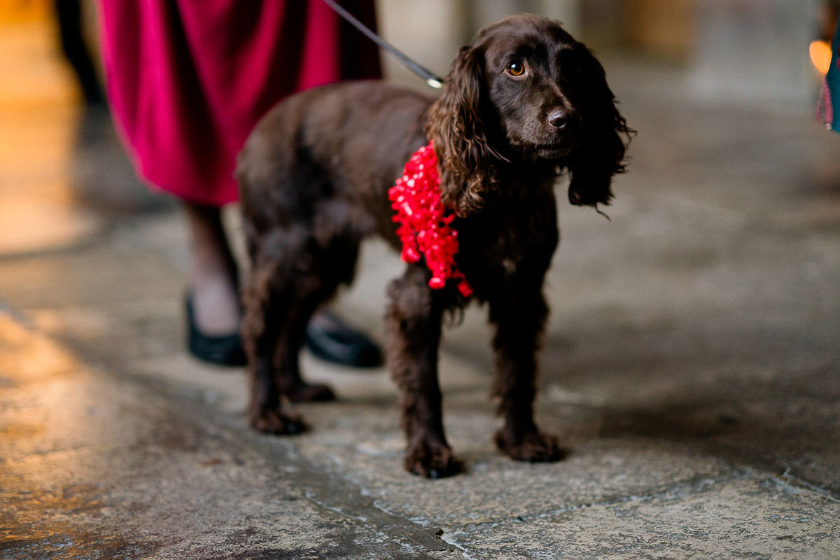 Kitty and Ed's CharterHouse Wedding in London 34 030 the chaerterhouse farringdon