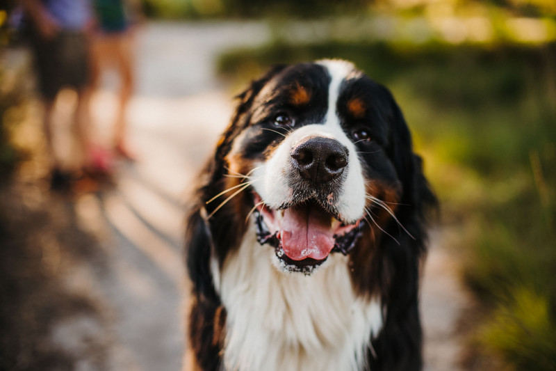 Engagement photographer london 2