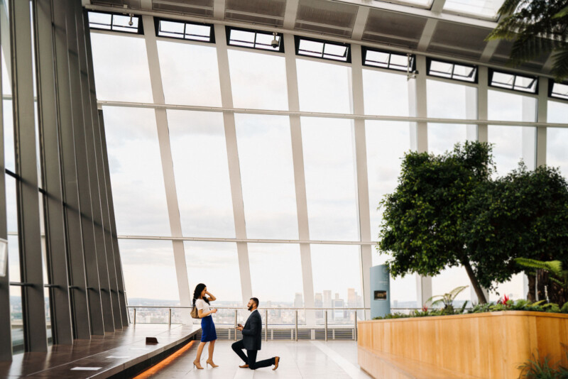 sky gardens proposal